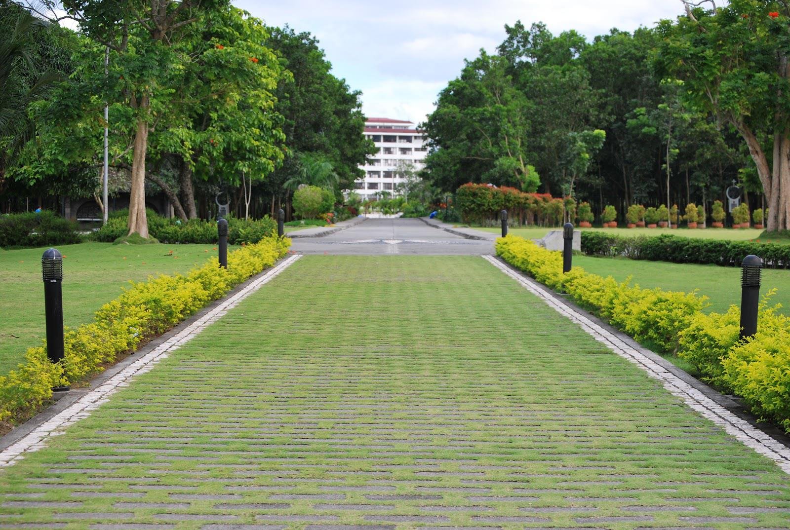 Tree-lined walkway leading to a Sisters of Mary school